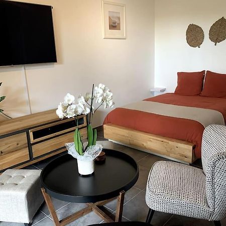 Grand Studio Avec Coin Nuit, Proche Mer Et Montagnes Roquebrune-sur-Argens Eksteriør billede