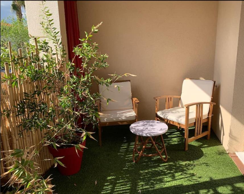 Grand Studio Avec Coin Nuit, Proche Mer Et Montagnes Roquebrune-sur-Argens Eksteriør billede