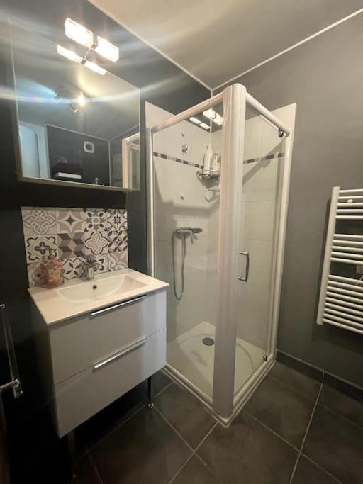 Grand Studio Avec Coin Nuit, Proche Mer Et Montagnes Roquebrune-sur-Argens Eksteriør billede