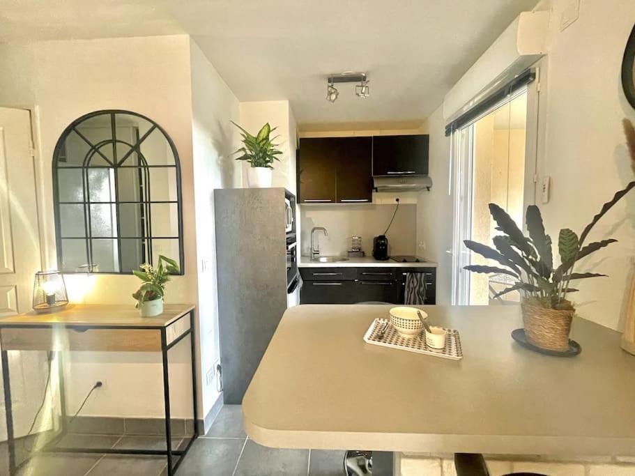 Grand Studio Avec Coin Nuit, Proche Mer Et Montagnes Roquebrune-sur-Argens Eksteriør billede